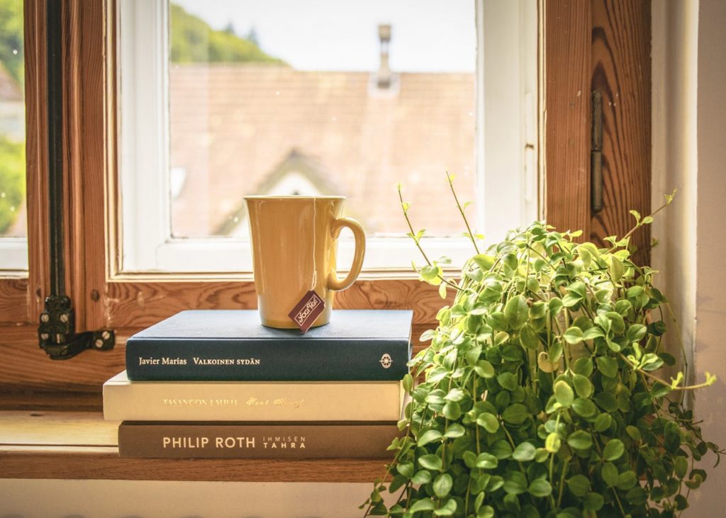 Image d'une tasse posée sur trois livres devant une fenêtre.