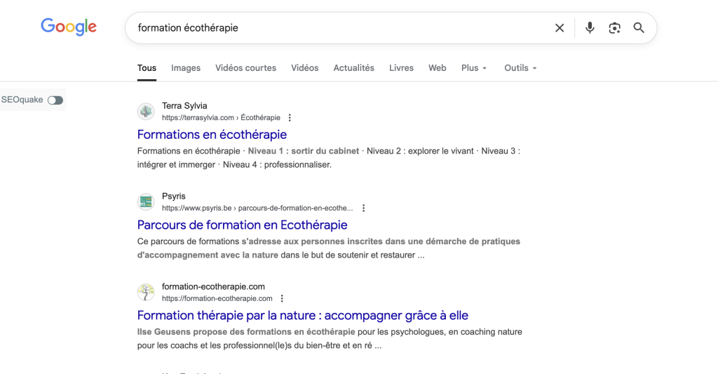 Capture d'écran : le site formation-ecotherapie.com est 3e !