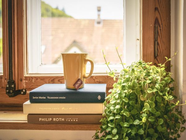 Image d'une tasse posée sur trois livres devant une fenêtre.